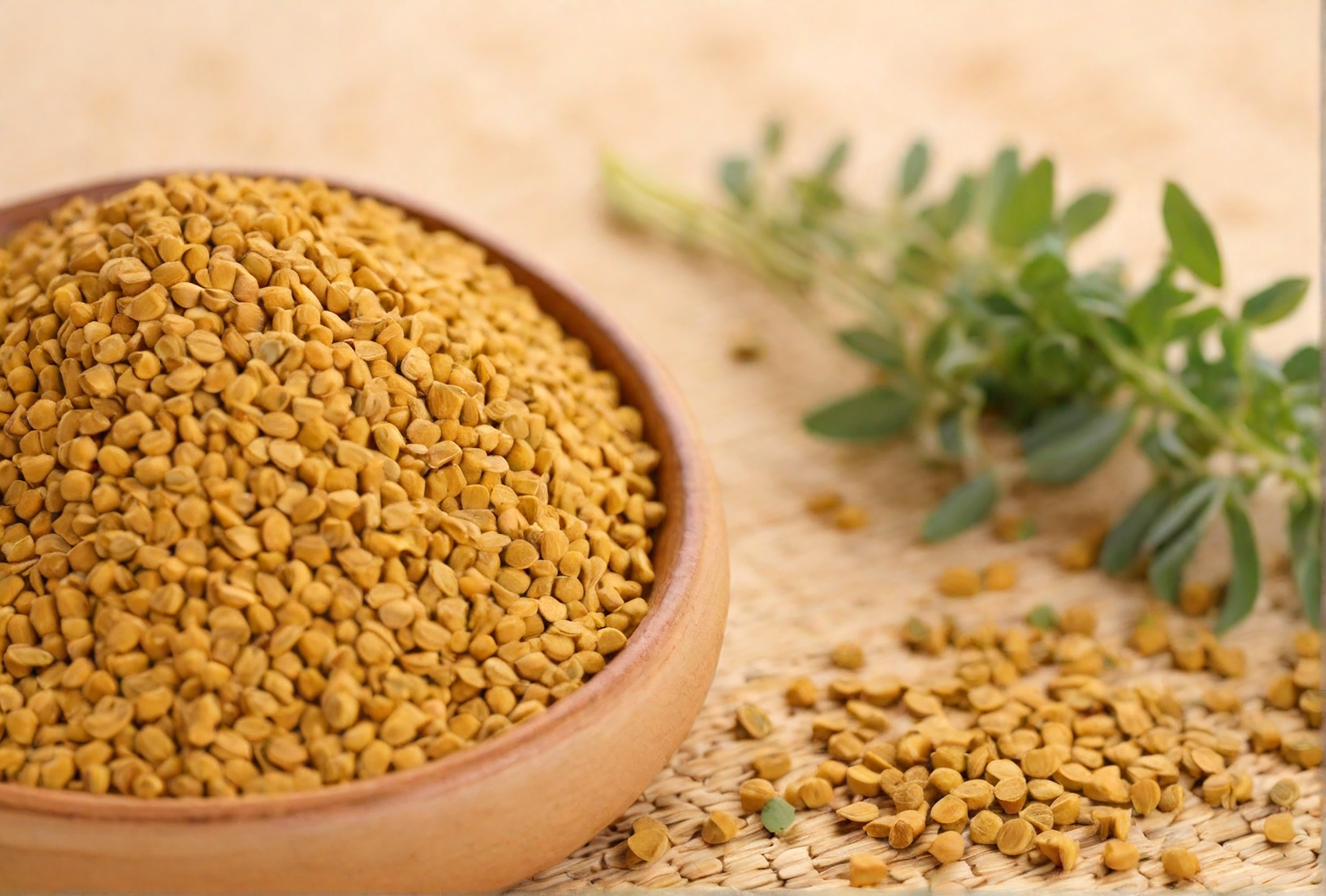 Shree Radhe Export Fenugreek