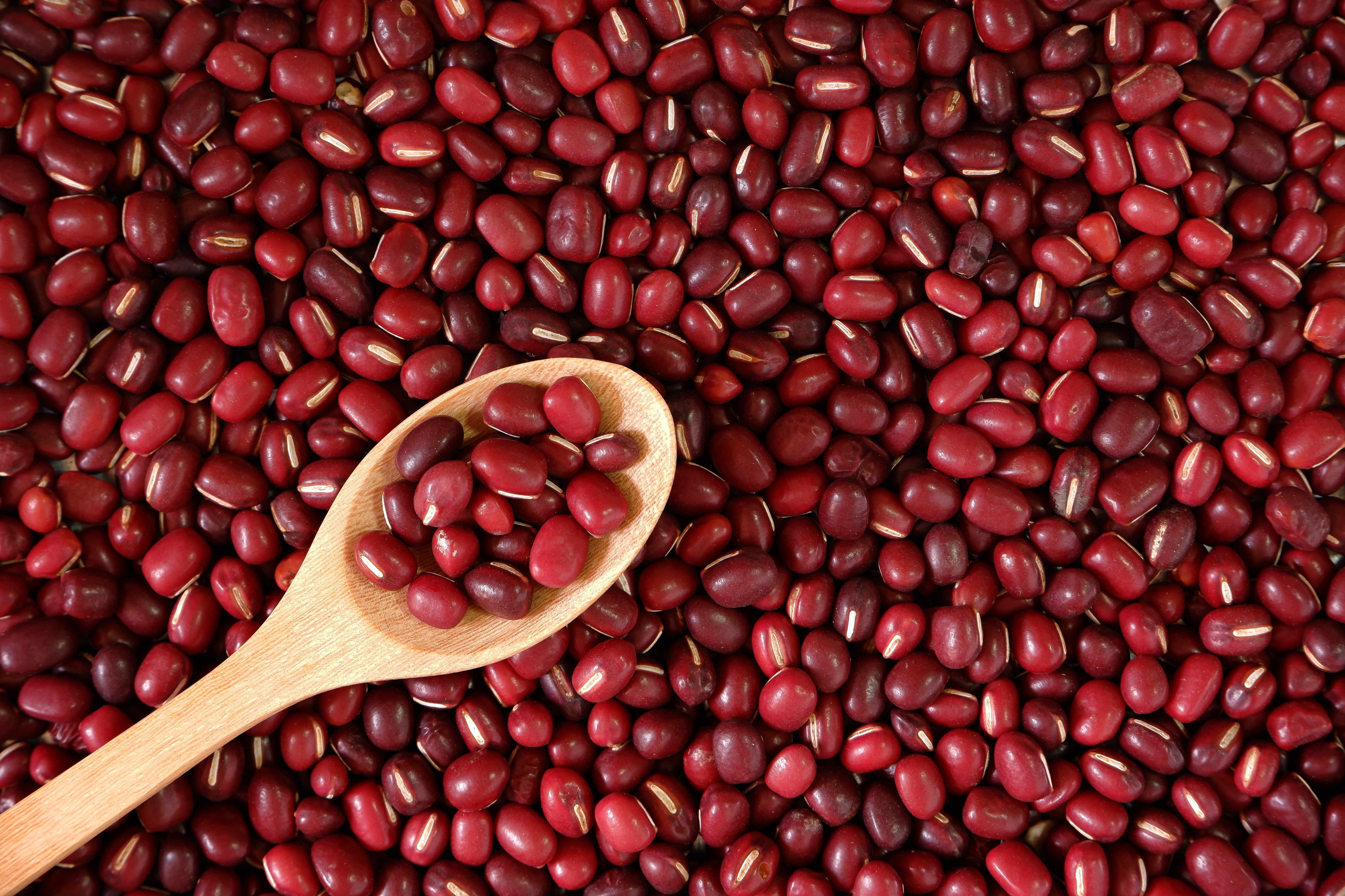 Shree Radhe Export Kidney Beans (Rajma)