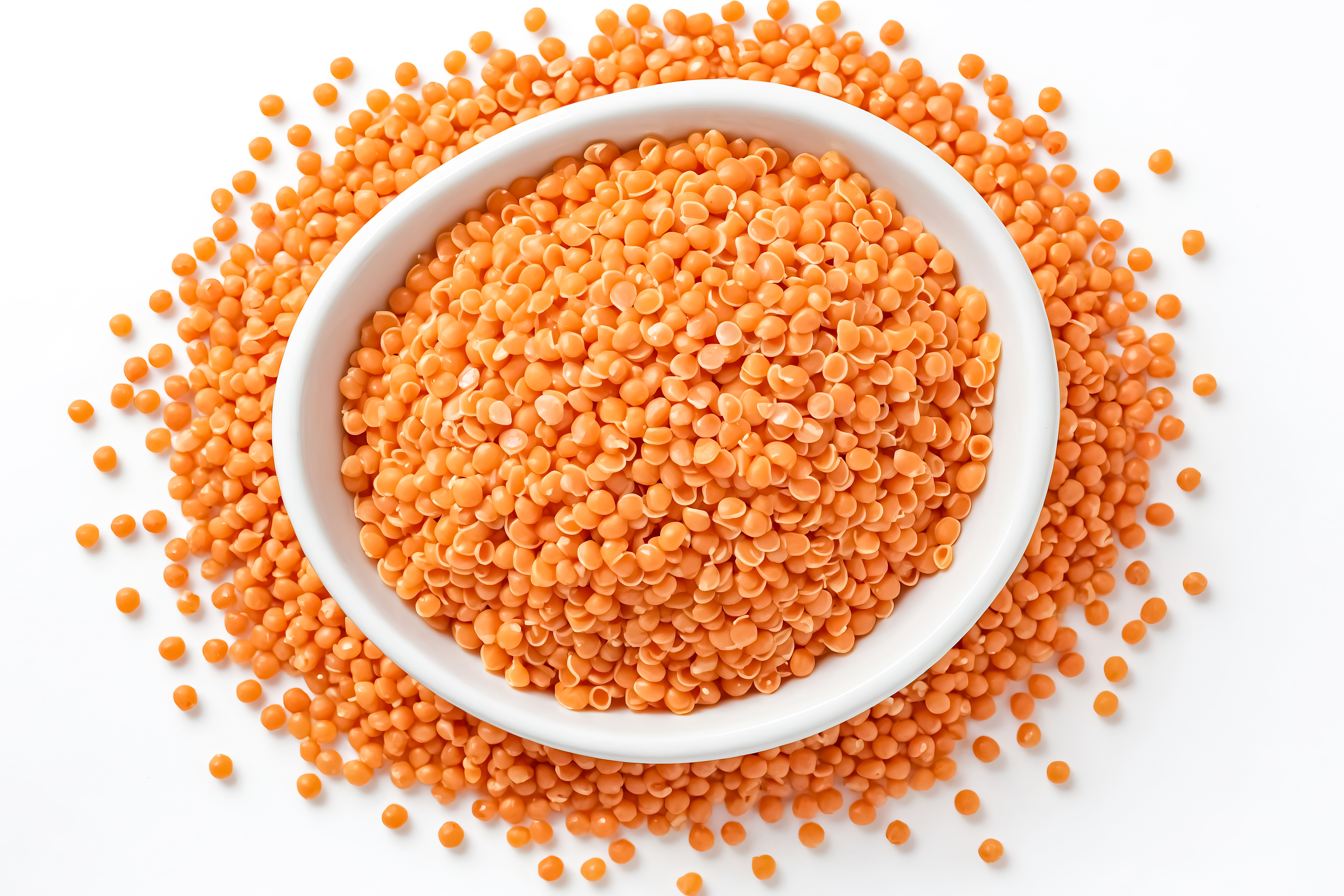 Shree Radhe Export Split Red Lentil